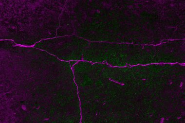 Soyut arkaplan. Çoklu renkli doku çizimi.