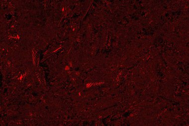 Soyut arkaplan. Çoklu renkli doku çizimi.