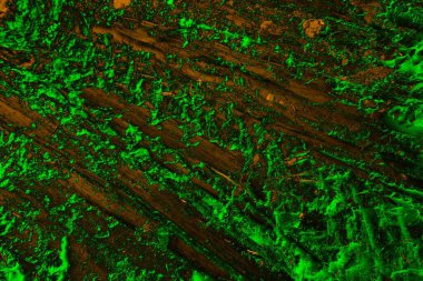 Soyut arkaplan. Çoklu renkli doku çizimi.