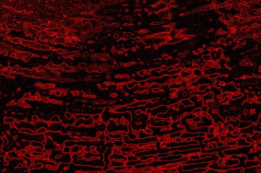 Soyut arkaplan. Çoklu renkli doku çizimi.