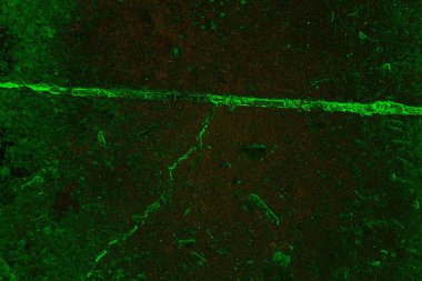 Soyut arkaplan. Çoklu renkli doku çizimi.