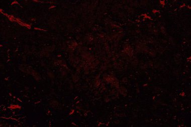 Soyut arkaplan. Çoklu renkli doku çizimi.