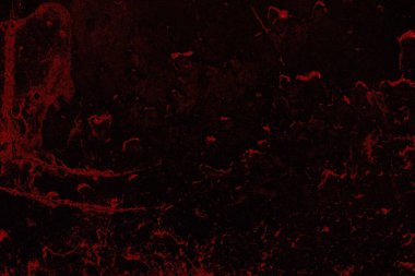 Soyut arkaplan. Çoklu renkli doku çizimi.