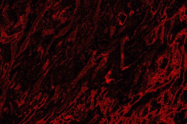 Soyut arkaplan. Çoklu renkli doku çizimi.