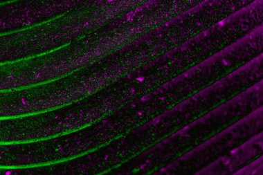 Soyut arkaplan. Çoklu renkli doku çizimi.