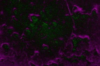 Soyut arkaplan. Çoklu renkli doku çizimi.