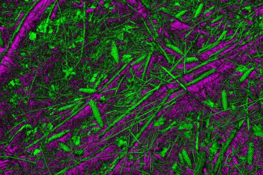 Soyut arkaplan. Çoklu renkli doku çizimi.