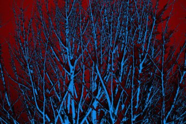 Soyut arkaplan, çok renkli arkaplan