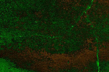 Soyut arkaplan. Çoklu renkli doku çizimi.