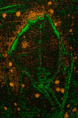 Soyut arkaplan, çok renkli arkaplan