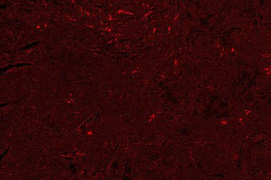 Soyut arkaplan. Çoklu renkli doku çizimi.