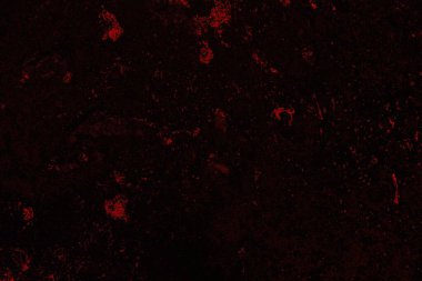 Soyut arkaplan. Çoklu renkli doku çizimi.