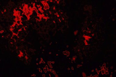 Soyut arkaplan. Çoklu renkli doku çizimi.