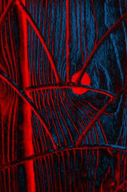 Soyut arkaplan. Çoklu renkli doku çizimi.