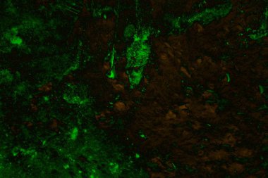 Soyut arkaplan. Çoklu renkli doku çizimi.