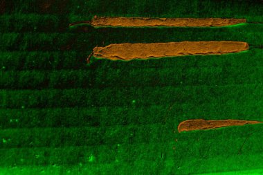 Soyut arkaplan. Çoklu renkli doku çizimi.