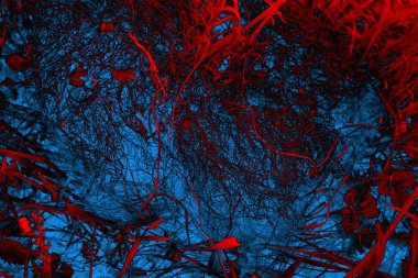 Soyut arkaplan, çok renkli arkaplan