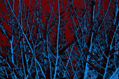 Soyut arkaplan. Çoklu renkli doku çizimi