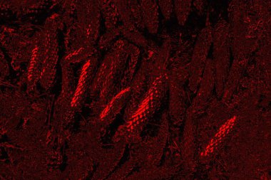 Soyut arkaplan. Çoklu renkli doku çizimi.