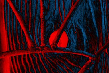 Soyut arkaplan, çok renkli arkaplan