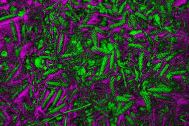 Soyut arkaplan. Çoklu renkli doku çizimi.