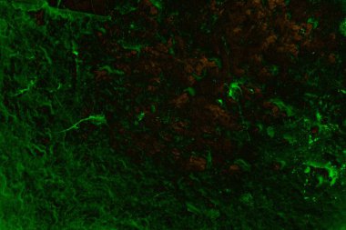 Soyut arkaplan. Çoklu renkli doku çizimi.