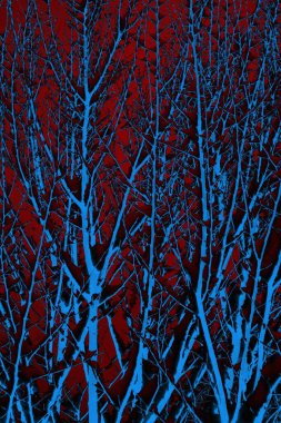 Soyut arkaplan. Çoklu renkli doku çizimi