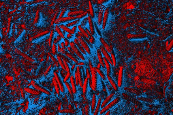 Soyut arkaplan, çok renkli arkaplan