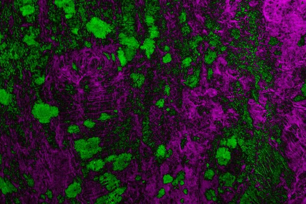 Soyut arkaplan. Çoklu renkli doku çizimi.