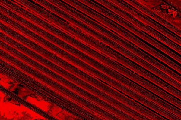 Soyut arkaplan. Çoklu renkli doku çizimi.