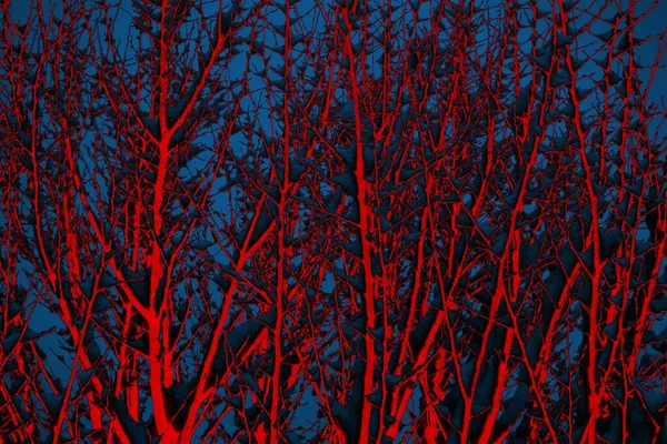 Soyut arkaplan, çok renkli arkaplan