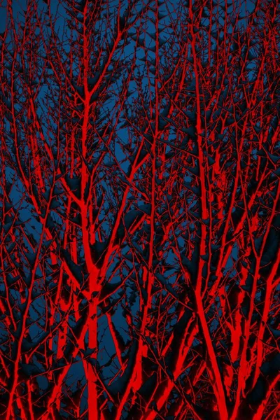 Soyut arkaplan. Çoklu renkli doku çizimi