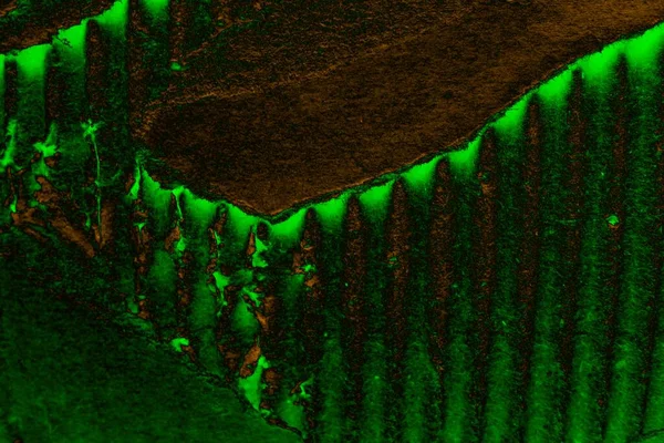 Soyut arkaplan. Çoklu renkli doku çizimi.