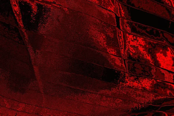 Soyut arkaplan. Çoklu renkli doku çizimi.