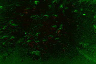 Soyut arkaplan. Çoklu renkli doku çizimi.