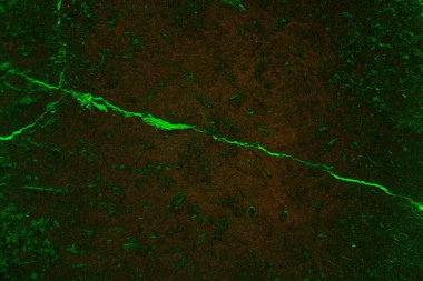 Soyut arkaplan. Çoklu renkli doku çizimi.