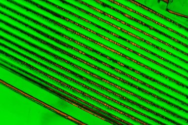 Soyut arkaplan. Çoklu renkli doku çizimi.