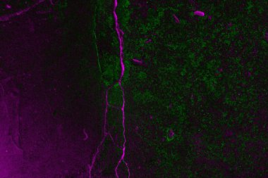 Soyut arkaplan. Çoklu renkli doku çizimi.