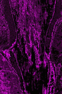 Soyut arkaplan. Monokrom dokusu. Resim siyah ve beyaz tonları içerir.