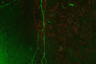 Soyut arkaplan. Çoklu renkli doku çizimi.