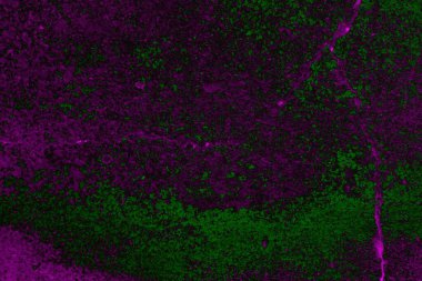 Soyut arkaplan. Çoklu renkli doku çizimi.