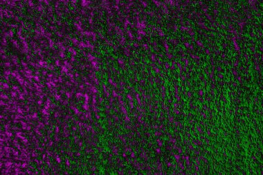 Soyut arkaplan. Çoklu renkli doku çizimi.