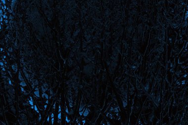 Soyut arkaplan. Monokrom dokusu. Resim siyah ve beyaz tonları içerir.