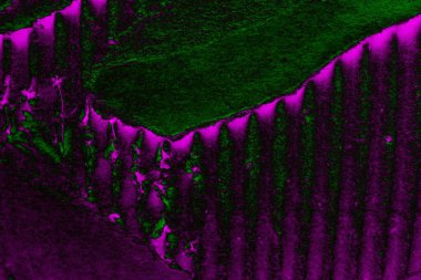 Soyut arkaplan. Çoklu renkli doku çizimi.