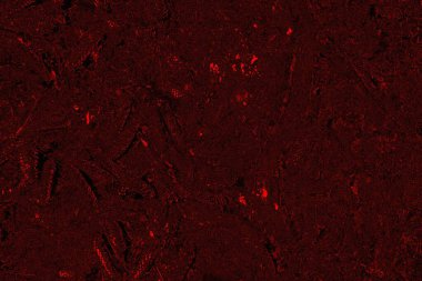 Soyut arkaplan. Çoklu renkli doku çizimi.