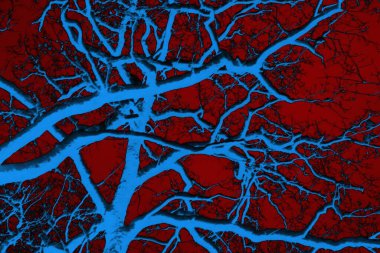 Soyut arkaplan, çok renkli arkaplan