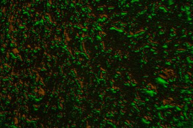 Soyut arkaplan. Çoklu renkli doku çizimi.