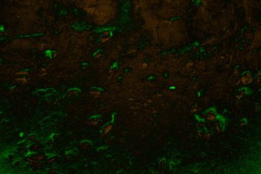 Soyut arkaplan. Çoklu renkli doku çizimi.