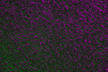 Soyut arkaplan. Çoklu renkli doku çizimi.