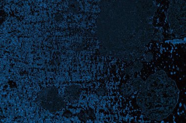 Soyut arkaplan. Monokrom dokusu. Resim siyah ve beyaz tonları içerir.